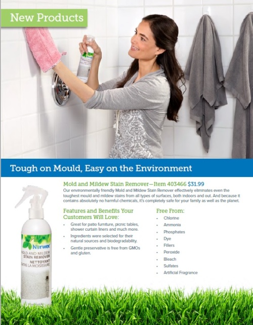 mold-and-mildew